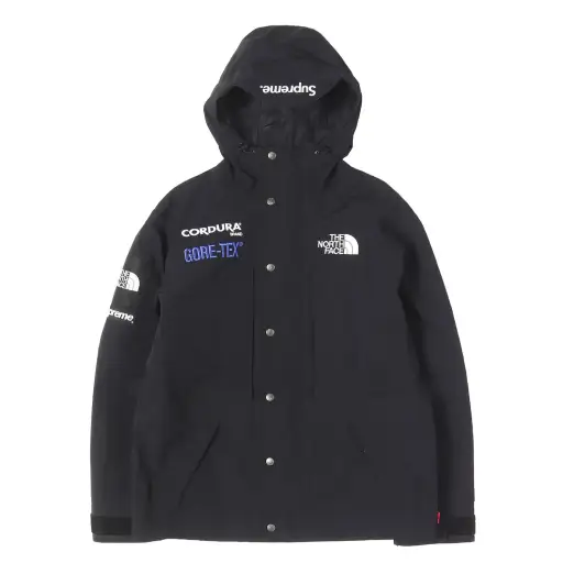 ×THE NORTH FACE GORE-TEX エクスペディション マウンテンジャケット(Expedition Jacket)