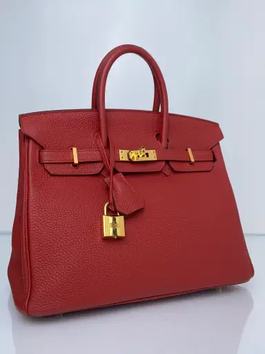 Hermes Birkin 25 Rouge Vif Togo GHW #D
