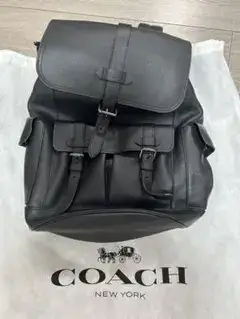 COACH リュック F36811 ハドソン ナチュラルペブルレザー 牛革