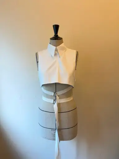 Ann Demeulemeester Collar accessory SP17