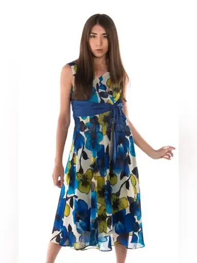 Evan-Picone Dress