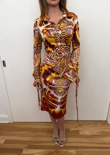 Roberto Cavalli 2007 Animal Printed Multicolor Dress