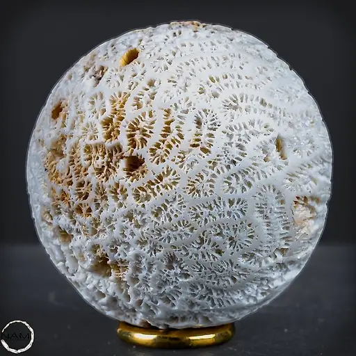 Natural Sphere of white Coral - Acropora Florida- 187.66 g
