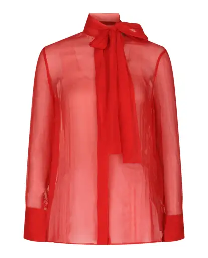 Sheer Organza Blouse