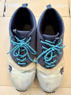 DESCENTE ALLTERRAINスニーカー メンズ　26.0