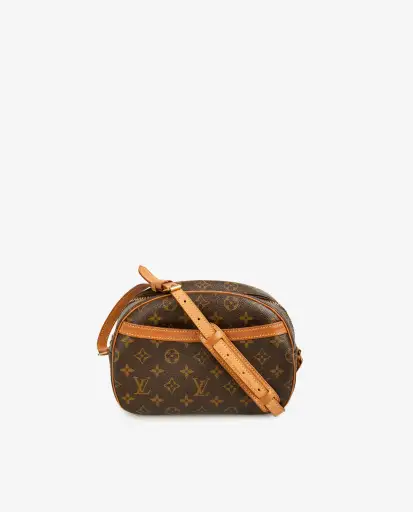Sac Blois Louis Vuitton monogram