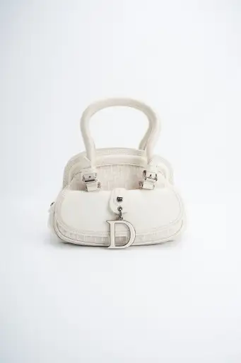 Dior detective small handbag