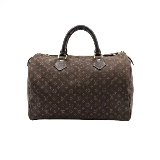Louis Vuitton Speedy Handbag