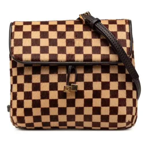 Brown Louis Vuitton Damier Sauvage Gazelle Crossbody Bag