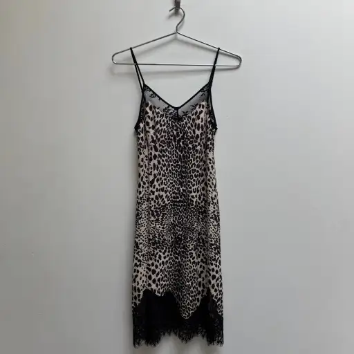Alexander McQueen Cheetah Print Slip Dress