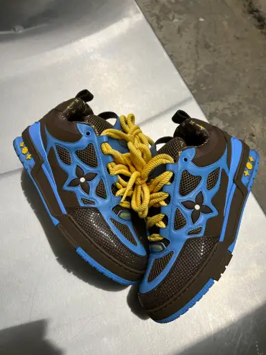 Louis Vuitton skate sneakers (blue/brown)