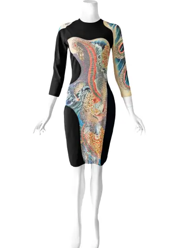 Alexander McQueen 2010s Tattoo Print Dress