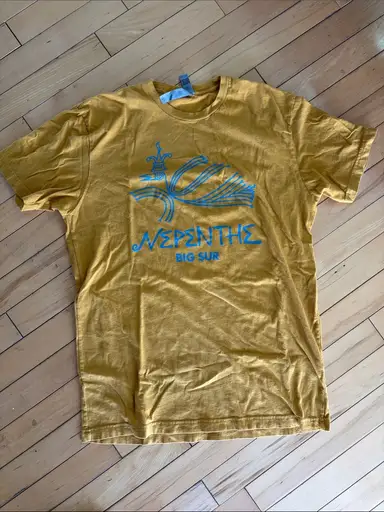 Gold T-Shirt with Nepenthe Big Sur Graphic