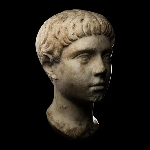 A Roman Marble Portrait Head of a Youth