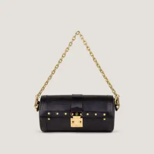 LOUIS VUITTON Papillon Trunk