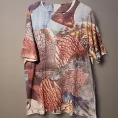 NOZOMI ISHIGURO tambourine ノゾミイシグロ