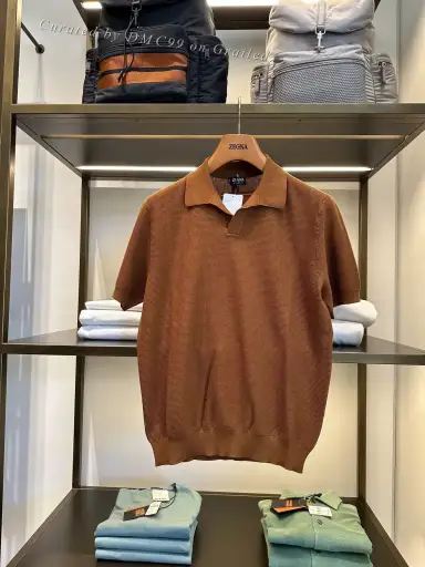 Zegna Men's Brown Polo Shirt