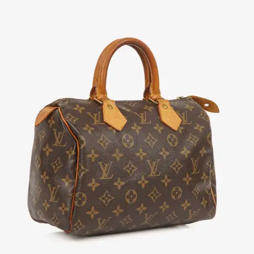 Louis Vuitton Speedy 25