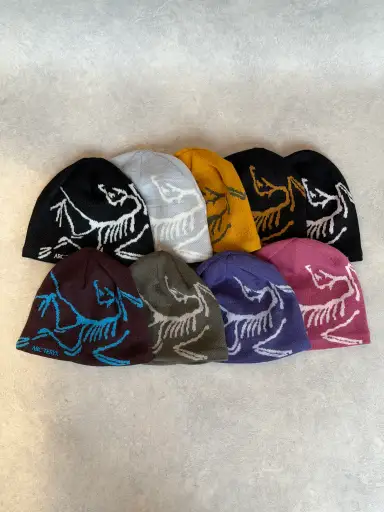 Arc'teryx Bird Head Toque Beanie