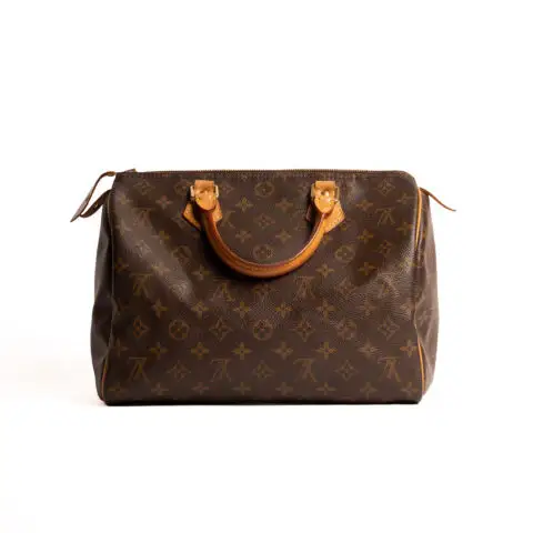Louis Vuitton Speedy 30