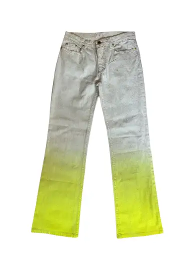 Ombré Roberto Cavalli Pants