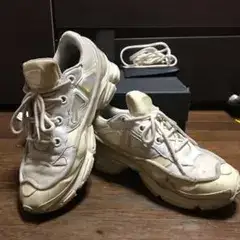 オズウィーゴーRAFSIMONS