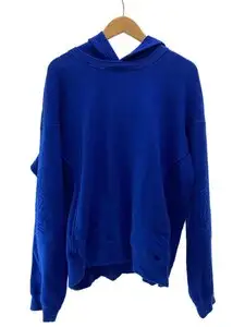 Kiko Kostadinov◆NOVALIS BIXANCE HOODIE/sizeL/コットン/ブルー/袖プリントパーカー/2203A231