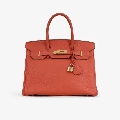 Hermès Birkin 30 - Capucine Togo | Gold Hardware