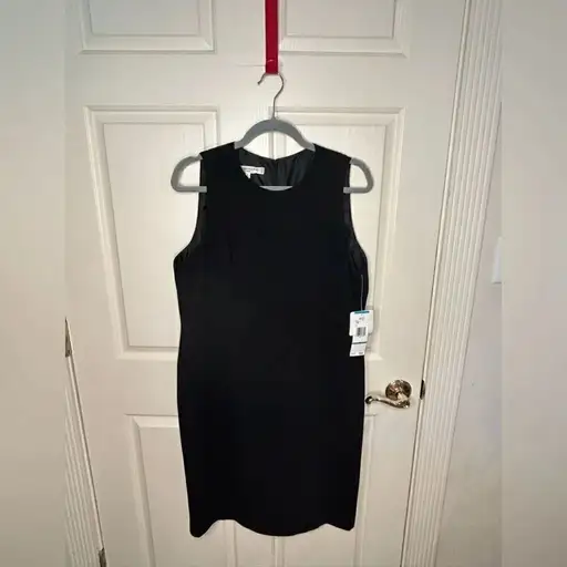 Evan Picone dress