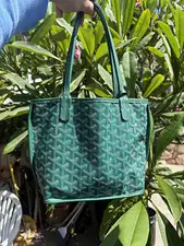 Goyard mini Anjou reversible tote green Goyard chevron w/ snap pouch
