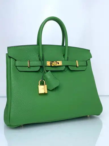 Hermes Birkin 25 Vert Yucca Togo GHW #B