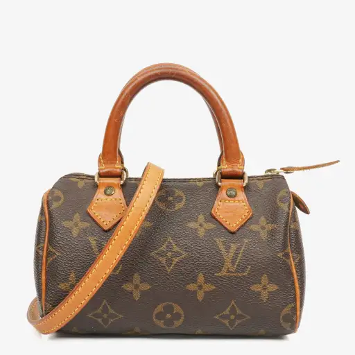 Louis Vuitton Nano Speedy Monogram Canvas Mini Bag