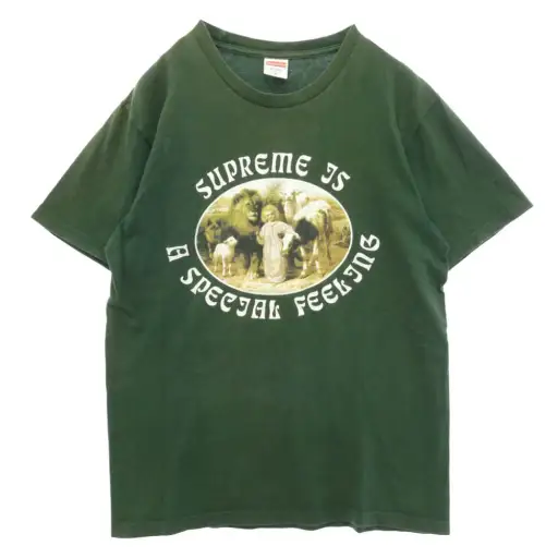 Supreme シュプリーム 16AW special feeling tee スペシャル フィーリング 半袖 Tシャツ カットソー グリーン系 M【中古】