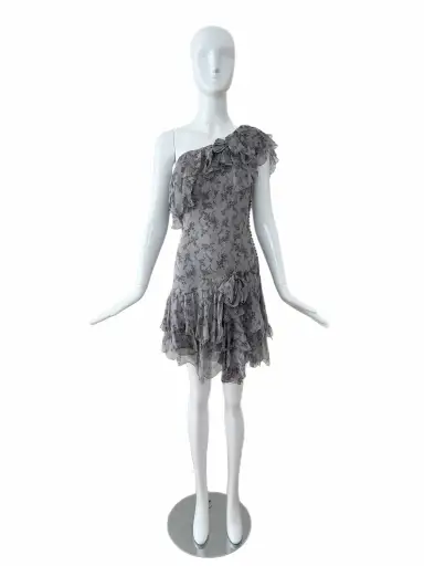 DIOR by JOHN GALLIANO 2010 Vintage Runway Silk Grey Ruffle Dress