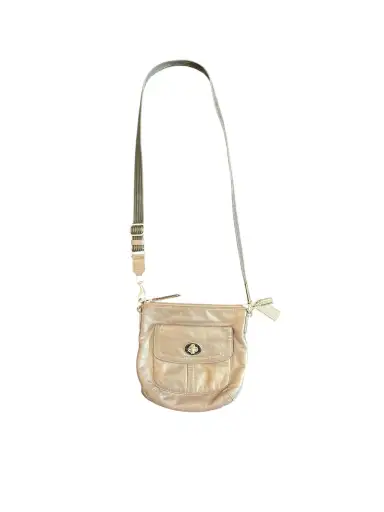 COACH POPPY SILVER METALLIC GRAY LEATHER CROSSBODY BAG